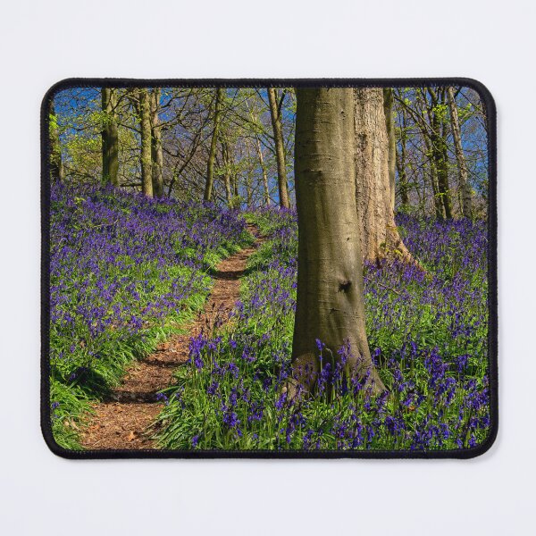 Item preview, English Bluebell Wood designed and sold by Martyn R Arnold Fine Art Nature & Landscape Photography.