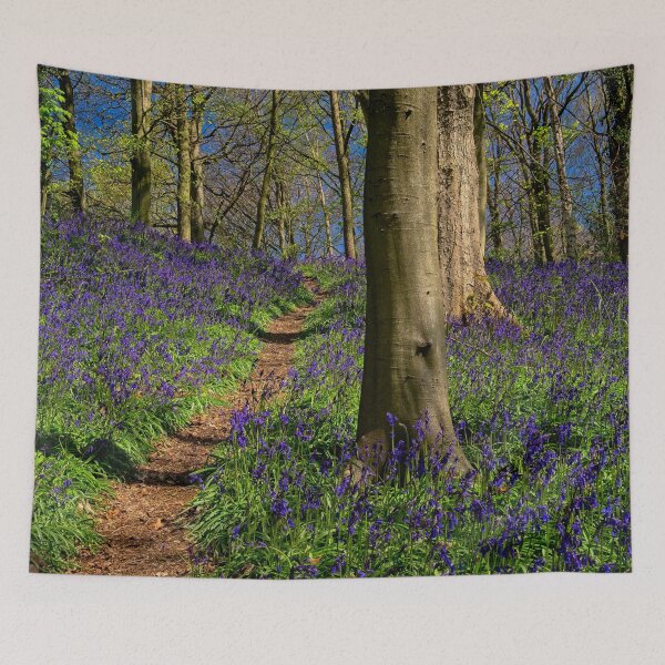 Item preview, English Bluebell Wood designed and sold by Martyn R Arnold Fine Art Nature & Landscape Photography.