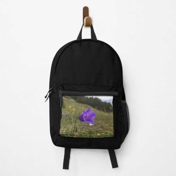 Aperçu de l'œuvre Fleur de campanule pourpre poussant en France créée et vendue par ray-designs-.