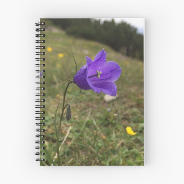 Item preview, Purple harebell flower growing in France designed and sold by ray-designs-.