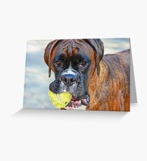 Tennis jedermann ?? ... -Boxer Dogs Series- Grußkarte