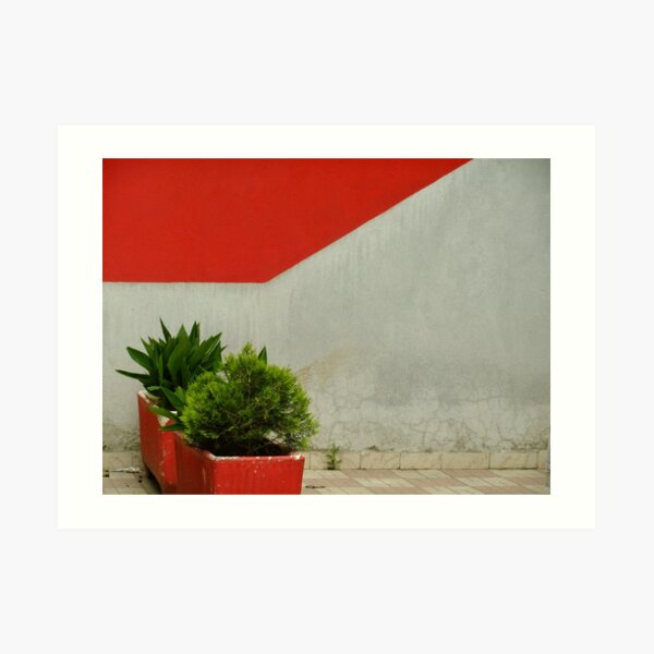 Urban Nature Art Print