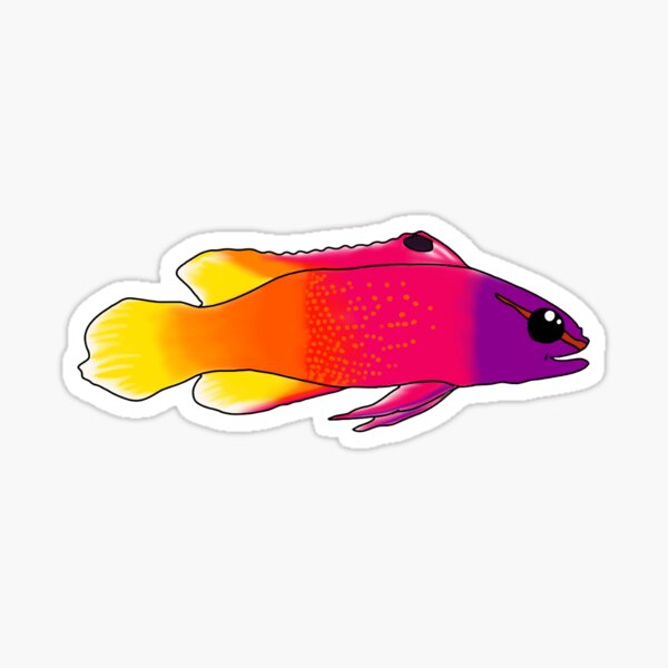 Royal Gramma Sticker