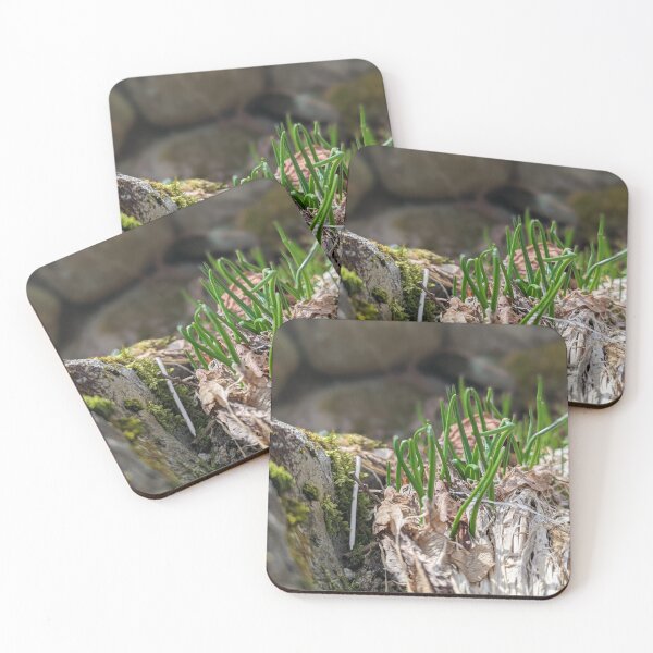 Item preview, Starting to Grow designed and sold by Jkund19.