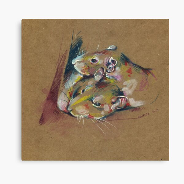 Rat Novelty Canvas Prints for Sale