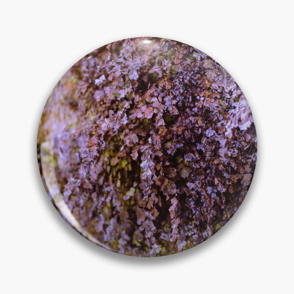 Item preview, Looking - A View  designed and sold by Carl Gaynor.