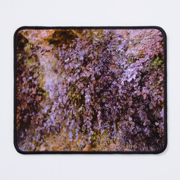 Item preview, Looking - A View  designed and sold by Carl Gaynor.