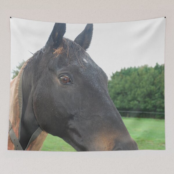 Item preview, Do you have food? designed and sold by lizdomett.