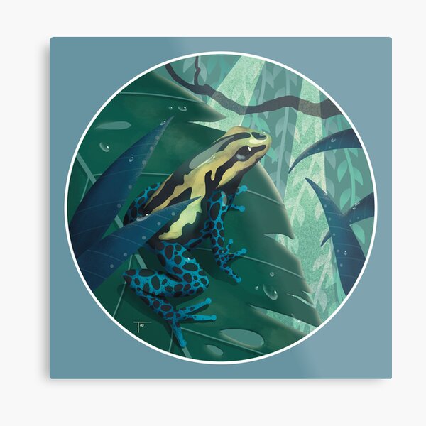 Poison Dart Frog - glistening rainforest Metal Print