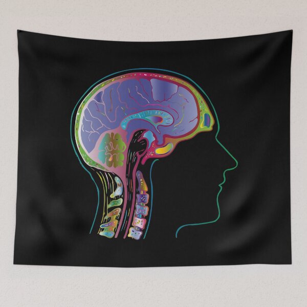 Item preview, Head Brain Skull Anatomy Spine designed and sold by stuartsemporium.