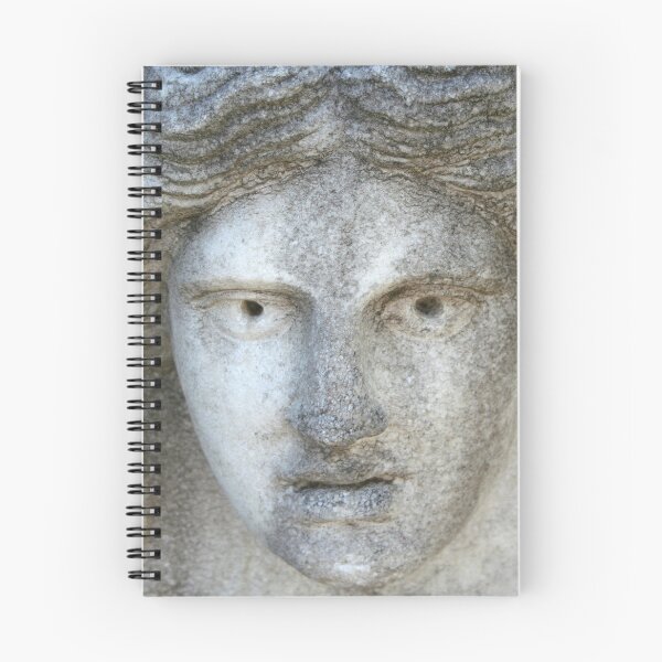 Item preview, Frieze of a Roman Goddess Greco Roman Classical Portrait designed and sold by taiche.