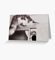 Moments With Max... Greeting Card