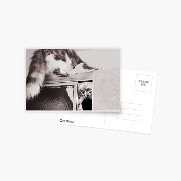 Moments With Max... Postcard