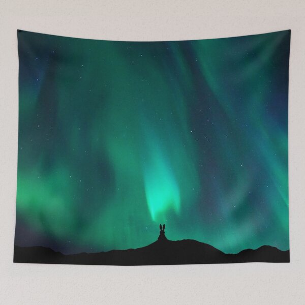 Item preview, Bunny Watching the Northern Lights designed and sold by humnoo.