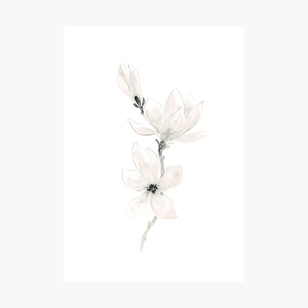 "Magnolia flower, Magnolia Wall Decor, Magnolia Leaves Unique Home