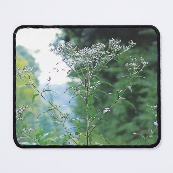 Item preview, Abandoned Railroad and Lost Places 06 designed and sold by Relics Of The Day.