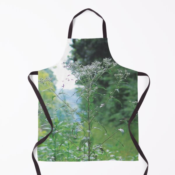Item preview, Abandoned Railroad and Lost Places 06 designed and sold by Relics Of The Day.