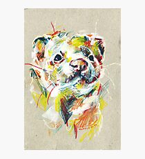 Ferret I Photographic Print