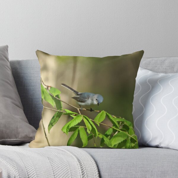 Item preview, Blue-gray Gnatcatcher designed and sold by Sandy Keeton.