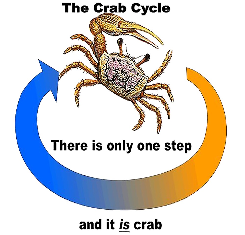 "Crab Cycle" by Midnyte Redbubble