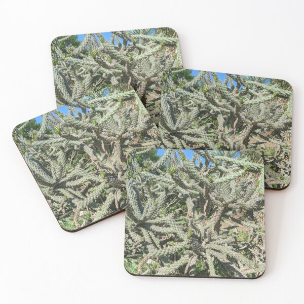 Item preview, Cactus Cylindropuntia Acanthocarpa designed and sold by Shapes-Mania.