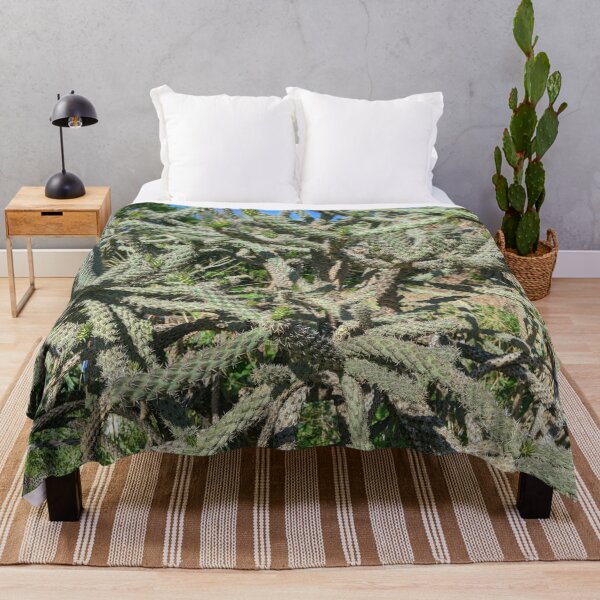 Item preview, Cactus Cylindropuntia Acanthocarpa designed and sold by Shapes-Mania.