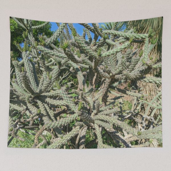 Item preview, Cactus Cylindropuntia Acanthocarpa designed and sold by Shapes-Mania.