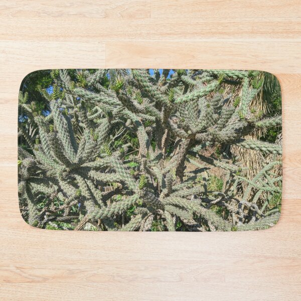 Item preview, Cactus Cylindropuntia Acanthocarpa designed and sold by Shapes-Mania.