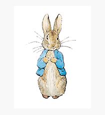 Peter Hase Fotodruck