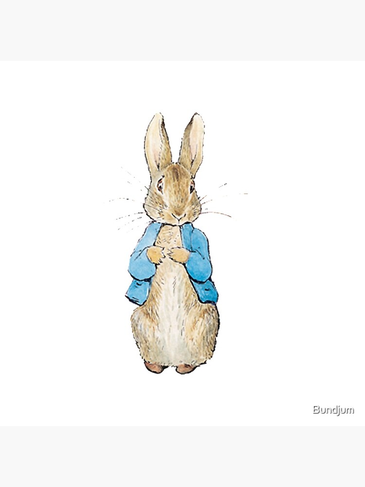 Peter Rabbit by Bundjum
