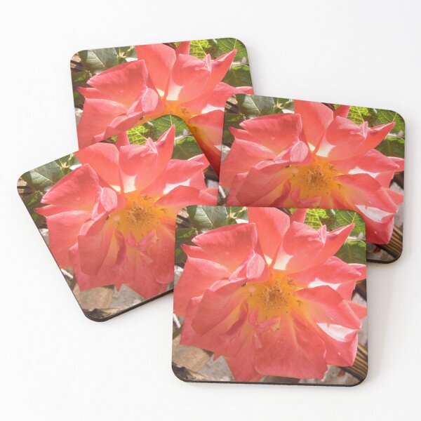 Item preview, Pink Rose designed and sold by Shulie1.