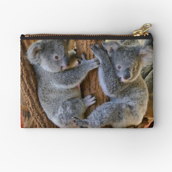 Item preview, Koalas Australia Zoo designed and sold by heidiypi1.