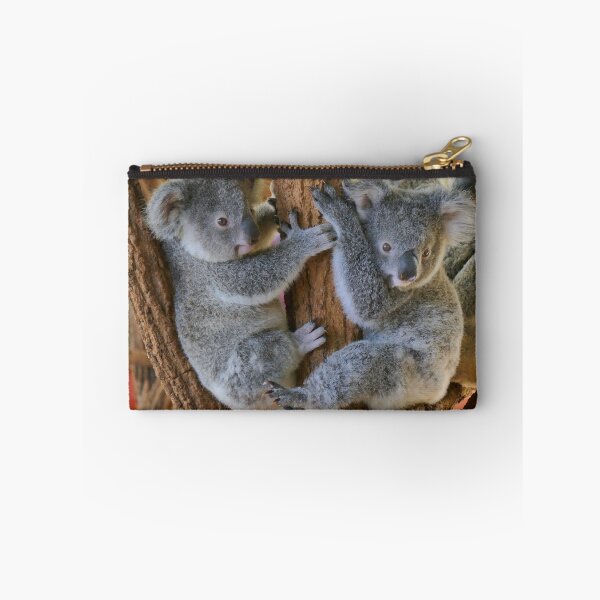 Item preview, Koalas Australia Zoo designed and sold by heidiypi1.