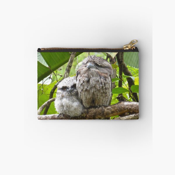 Item preview, Tawny Frog Mouth Mum and Bubs designed and sold by heidiypi1.