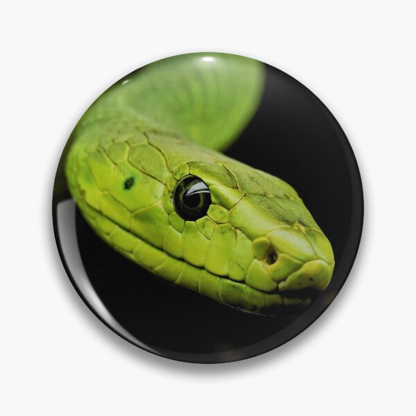 Artikelvorschau, Grüne Baumpython - schöne Fotografie entworfen und verkauft von TheEndlessStore.