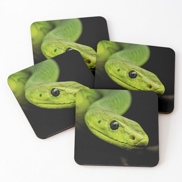 Item preview, Green Tree Python - Beautiful Photography designed and sold by TheEndlessStore.