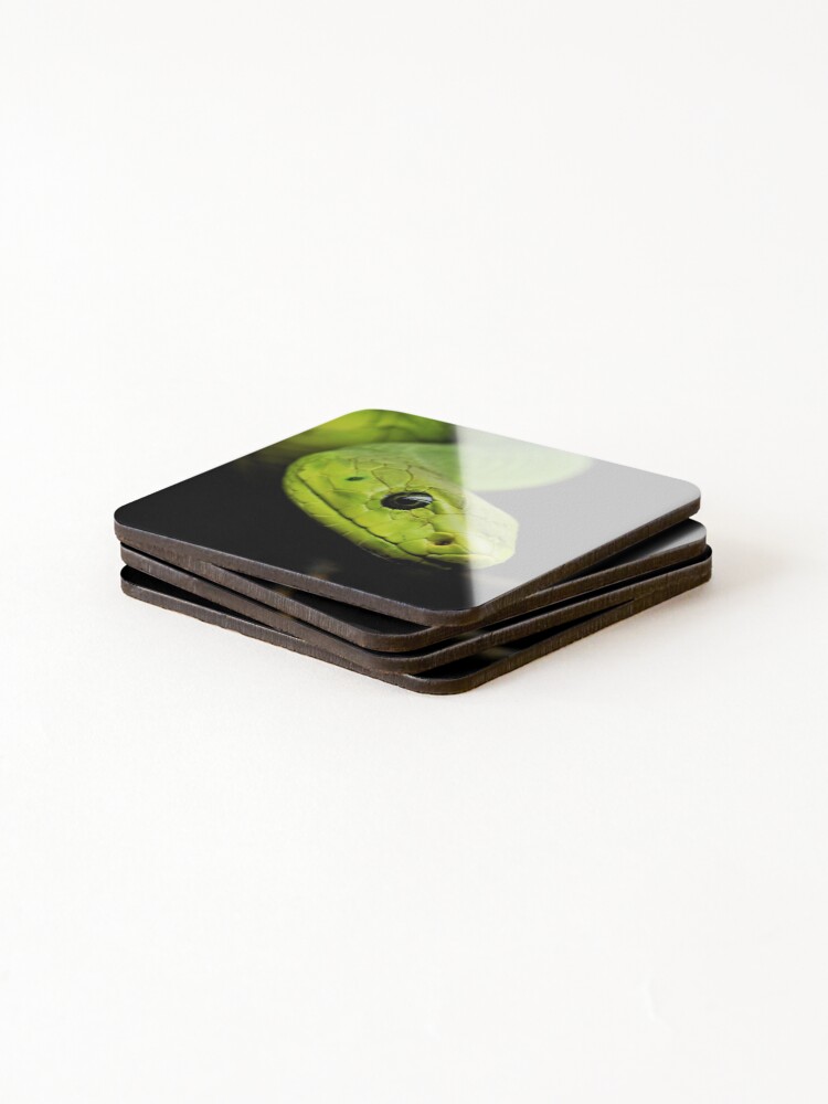 Thumbnail 4 of 5, Coasters (Set of 4), Green Tree Python - Beautiful Photography designed and sold by TheEndlessStore.
