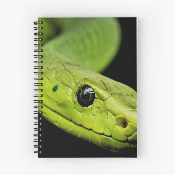 Item preview, Green Tree Python - Beautiful Photography designed and sold by TheEndlessStore.
