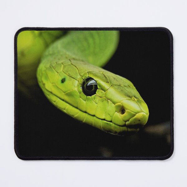 Item preview, Green Tree Python - Beautiful Photography designed and sold by TheEndlessStore.