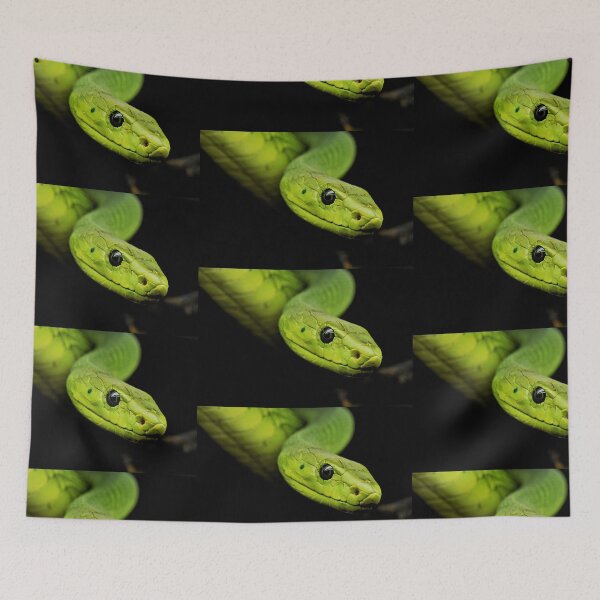 Item preview, Green Tree Python - Beautiful Photography designed and sold by TheEndlessStore.