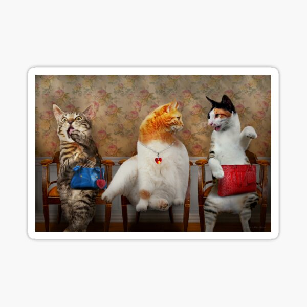 Item preview, Tier - Katze - Catty sein designed and sold by Mike Savad Photography.