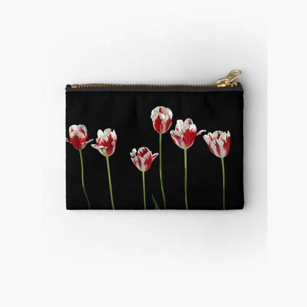 Artikelvorschau, Tulpen 01 entworfen und verkauft von Jürgen Henkelmann.