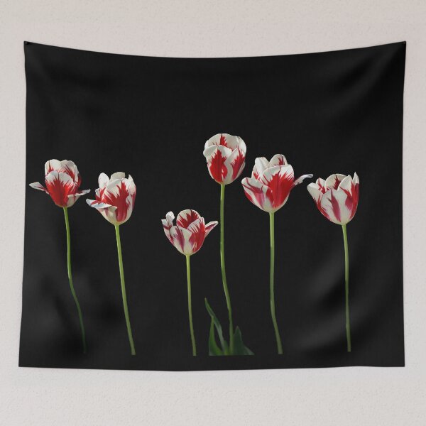 Item preview, Tulips 01 designed and sold by Jürgen Henkelmann.