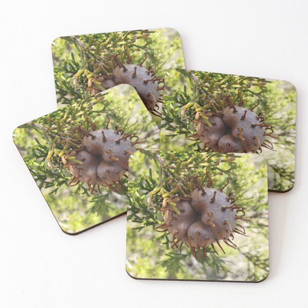 Item preview, Some Sort of Prickly Seed?  designed and sold by Theophanes Avery.