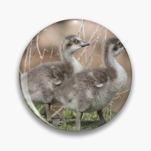 Item preview, Ne-ne Goslings designed and sold by Dorothy Thomson.