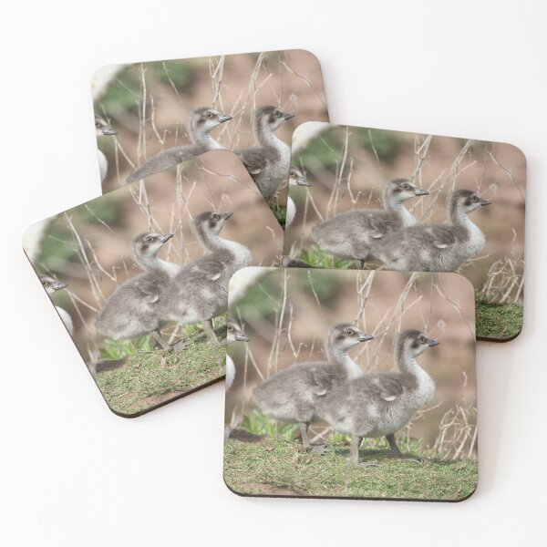 Item preview, Ne-ne Goslings designed and sold by Dorothy Thomson.