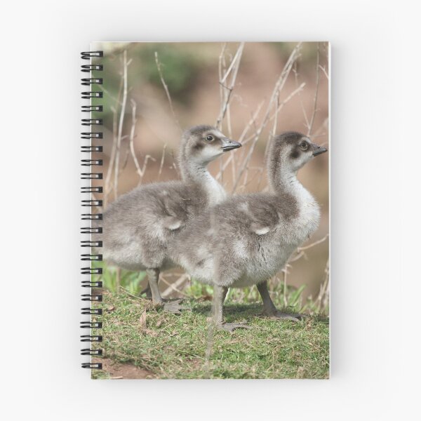 Item preview, Ne-ne Goslings designed and sold by Dorothy Thomson.