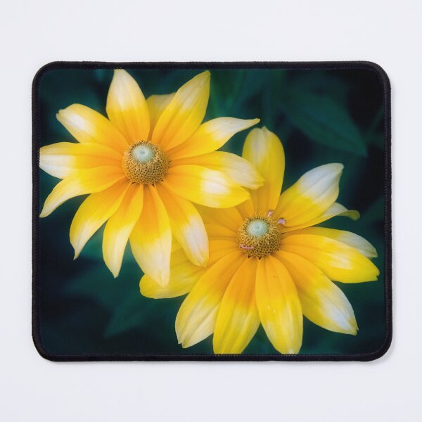 Item preview, Sun Sisters  designed and sold by Photo Art By Anita.