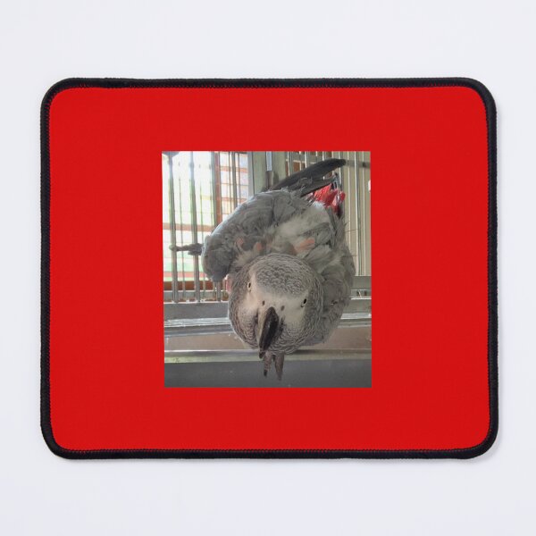 Item preview, Dylan’s looking at you! designed and sold by Mariann Moritz.