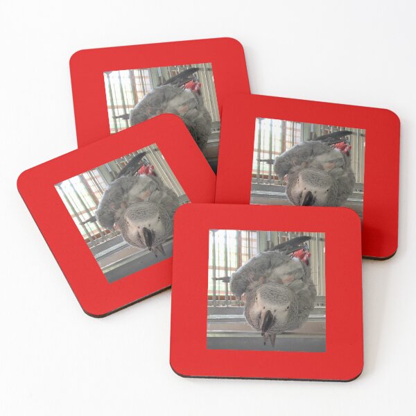 Item preview, Dylan’s looking at you! designed and sold by Mariann Moritz.